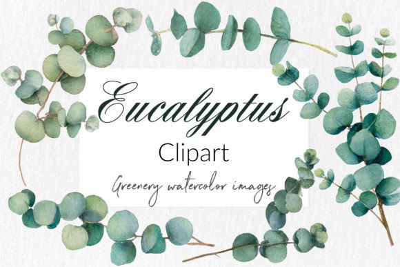 Enhancing Creativity with Watercolor Eucalyptus Clipart: A Modern Tool for Professionals and Enthusiasts