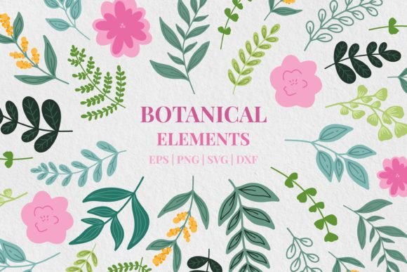 Floral Clipart Set . 14 PNG vector Files