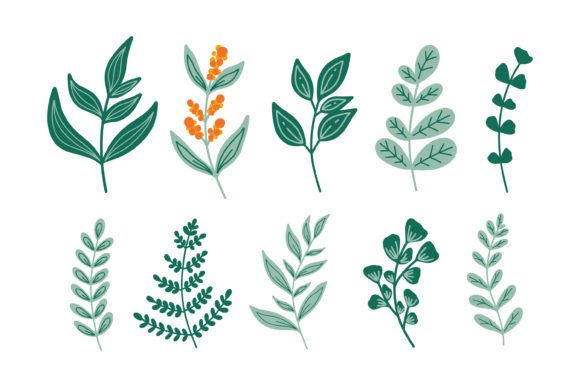 Hand Draw Botanical Cliparts: Floral Ele and 10 PNGs with Transparent Backgrounds, 300dpi, Plus Vector Files