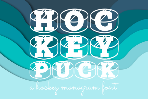 Hockey Puck: Strategic Typography for Distinctive Brand Identity