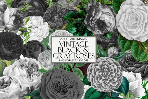 Vintage Black and Gray Roses Clipart: Timeless Elegance for Modern Projects