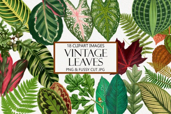 Vintage Leaves Clipart: A Timeless Resource for Creative Projects