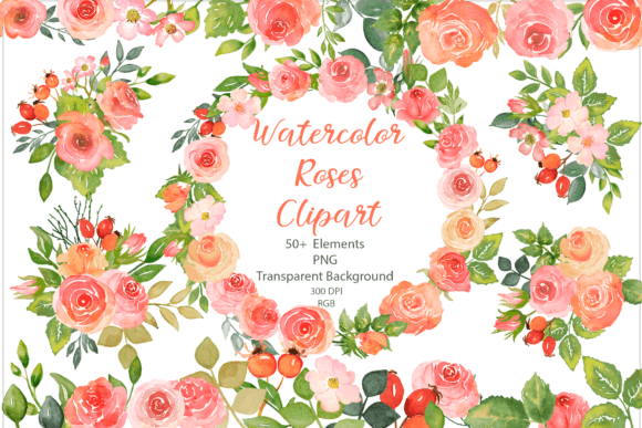 Watercolor Floral Clipart, Roses PNG