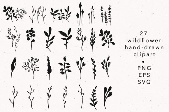 Wildflower and Herbal Botanical Svg